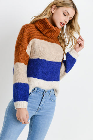 Turtleneck Colorblock Long Sleeves Sweater