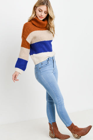Turtleneck Colorblock Long Sleeves Sweater