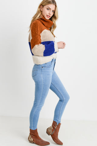 Turtleneck Colorblock Long Sleeves Sweater